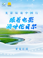老司机av.